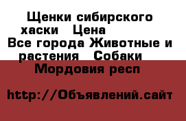 Щенки сибирского хаски › Цена ­ 12 000 - Все города Животные и растения » Собаки   . Мордовия респ.